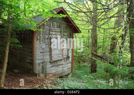 Hangar abandonné dans la forêt (dans une exploitation minière, Tahawus ville fantôme dans les Adirondacks) Banque D'Images