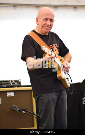 Musique live avec le guitariste Mike Harries racines médecins groupe sur scène à Brecon Jazz Festival 2014 Banque D'Images