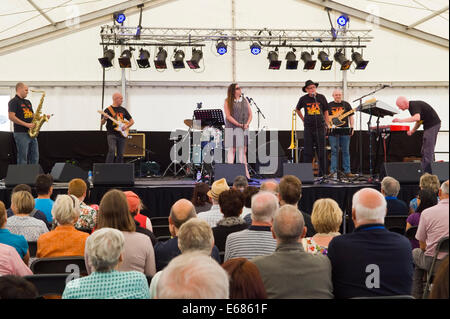 Musique live Mike Harries Médecins racines sur la scène du Festival de Jazz 2014 Brecon Banque D'Images