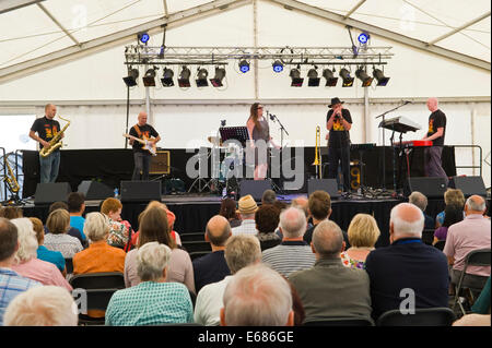 Musique live Mike Harries Médecins racines sur la scène du Festival de Jazz 2014 Brecon Banque D'Images