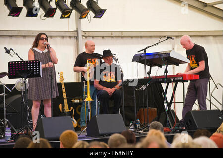 Musique live Mike Harries Médecins racines sur la scène du Festival de Jazz 2014 Brecon Banque D'Images