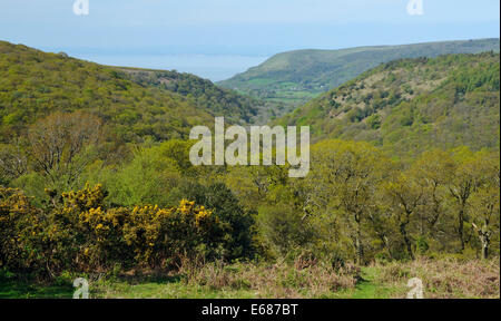 Vue depuis plus Cloutsham Horner Hill & Hill & Bossington à Woods Bay Porlock Exmoor, Somerset Banque D'Images