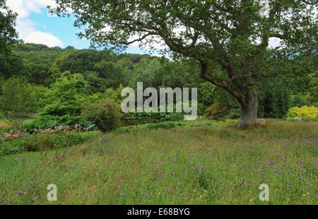 Le gardens at Rosemoor, à l'extérieur de Torrington et près de Bideford dans le comté de Devon, England, UK Banque D'Images