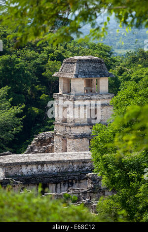 La tour du Palais de les ruines Maya de Palenque dans le Chiapas, au Mexique. Banque D'Images