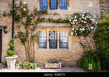 Maison en pierre de Cotswold/de fenêtres à meneaux, vitraux et rosiers grimpants. Banque D'Images