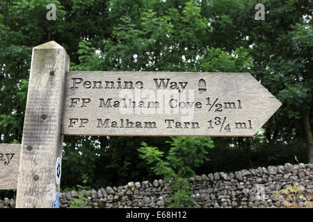 Balade dans le Parc National des Yorkshire Dales sur le Pennine Way près de Malham Yorkshire Angleterre UK Banque D'Images