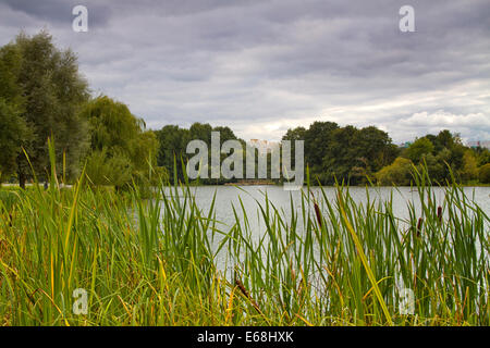 Rivière coule à travers le parc de l'automne. Banque D'Images