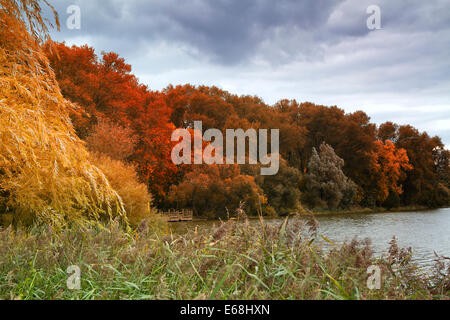 Rivière coule à travers le parc de l'automne. Banque D'Images