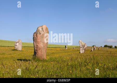 Pierres faisant partie de l 'avenue' West Kennet à Avebury dans le Wiltshire, Angleterre. Banque D'Images