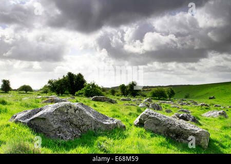 Pierres Sarsen dans une vallée sèche à Fyfield Réserve naturelle nationale vers le bas près de Avebury dans le Wiltshire, Angleterre, Banque D'Images