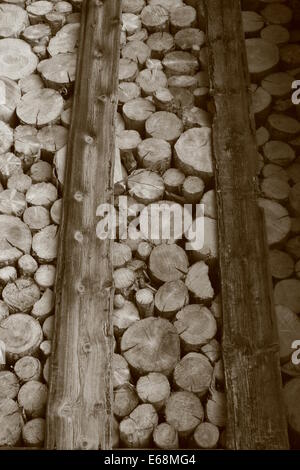 Pile de bois organisée, noir et blanc, pour l'hiver Banque D'Images