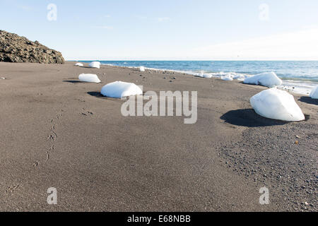 Plage intacte et blocs de glace avec des traces d'une mouette Banque D'Images