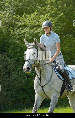 Cavalier au dos d'un 'Selle Français' Horse (cheval warmblood Français) équitation en été Banque D'Images