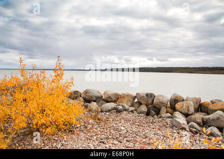 Golfe de Finlande de la mer Baltique à l'automne Banque D'Images