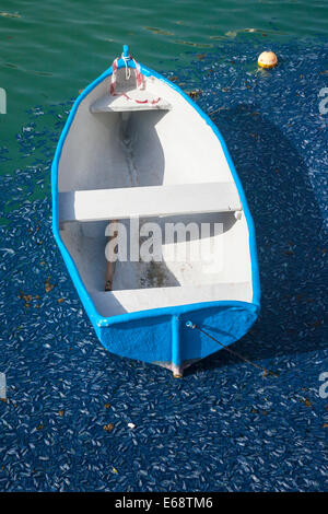 Petite barque entourée par des coquilles de moules, St Julian's Bay (Malte). Banque D'Images