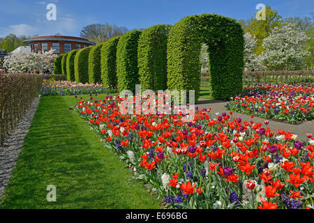 Keukenhof, Lisse, Hollande méridionale, Pays-Bas Banque D'Images