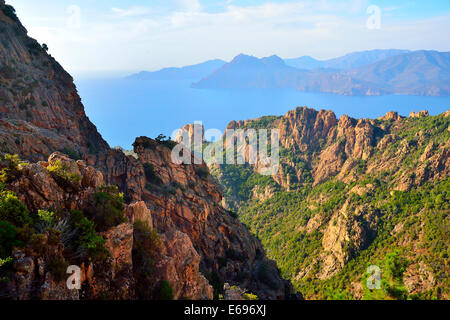 Vue sur les falaises de grès vers la mer, Calanques de Piana, Corse, France Banque D'Images