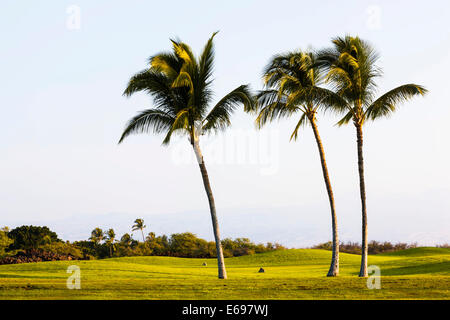 Mauna Lani Golf Course, Mauna Lani, Kohala Coast, Big Island, Hawaii, USA Banque D'Images