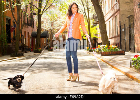 Mixed Race woman walking dogs on city street Banque D'Images