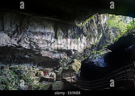 Entrée privée, Clearwater Cave, Mulu, Malaisie Banque D'Images