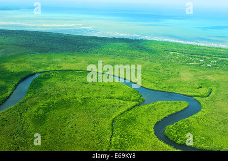 L'Australie,,parc national de Daintree rainforest Banque D'Images