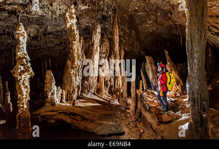 Les stalagmites dans la grotte Forêt ivre, le parc national du Gunung Mulu, Malaisie Banque D'Images