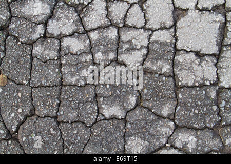 La détérioration des routes : les fissures dans l'asphalte érodé Banque D'Images