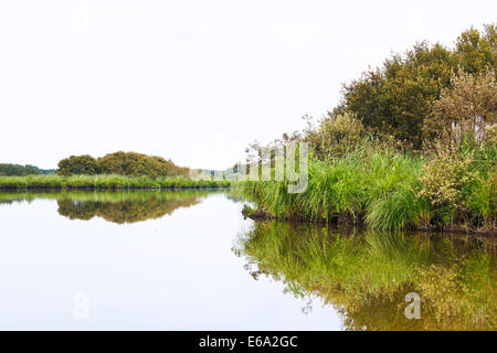 Vue sur le marais de Brière en journée d'été dans le Parc Naturel Régional de Brière, France Banque D'Images