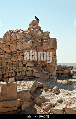 Shivta , ruines d'une ville byzantine et nabatéenne Banque D'Images