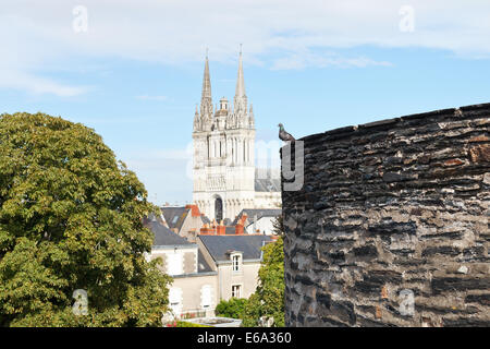 Remparts du château et de la cathédrale Saint Maurice à Angers ville, France Banque D'Images