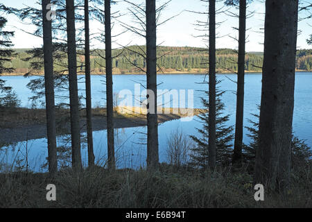 Voir plus de kielder water, Northumberland, England, UK. Banque D'Images