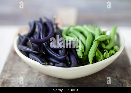 Les haricots nains violet et vert Banque D'Images