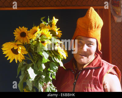 Femme moine avec le tournesol à Karsha Gompa, vallée du Zanskar, Ladakh, le Jammu-et-Cachemire, l'Inde, l'Himalaya, près de Padum Banque D'Images
