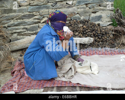 Femme à Char, Village de la vallée du Zanskar, Ladakh, le Jammu-et-Cachemire, l'Inde, l'Himalaya, près de Phuktal Gompa, la fabrication du fromage Banque D'Images