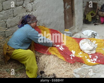 Femme à Char, Village de la vallée du Zanskar, Ladakh, le Jammu-et-Cachemire, l'Inde, l'Himalaya, près de Phuktal Gompa, la fabrication du fromage Banque D'Images