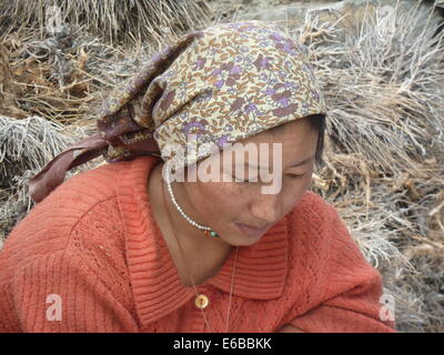 Femme à Char, Village de la vallée du Zanskar, Ladakh, le Jammu-et-Cachemire, l'Inde, l'Himalaya, près de Phuktal Gompa Banque D'Images