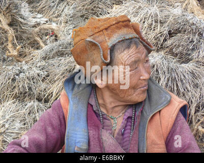 Vieille Femme à Char Village, vallée du Zanskar, Ladakh, Inde, le Jammu-et-Cachemire, l'Himalaya, près de Phuktal Gompa Banque D'Images