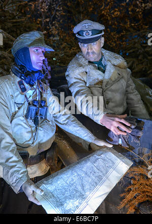 44 Ardennes Bastogne Musée, Belgique Banque D'Images