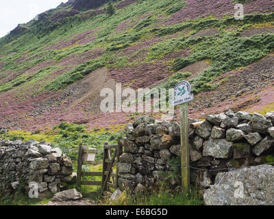 Une fiducie nationale signer l'identification des pêcheurs "Crag", appuyé contre un mur en pierre sèche sur un sentier public en Cumbria, Angleterre Banque D'Images