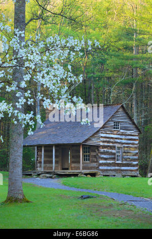 Les protections de carter, cabine, Cades Cove Great Smoky Mountains National Park, California, USA Banque D'Images