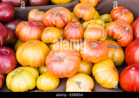 Heirloom tomatoes exposée au marché de fermiers Banque D'Images