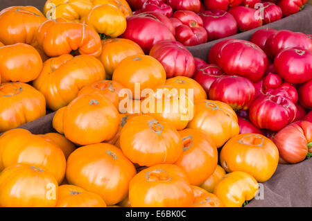 Yellow Heirloom tomatoes exposée au marché de fermiers Banque D'Images