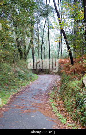 Chemin rural en Galice Banque D'Images