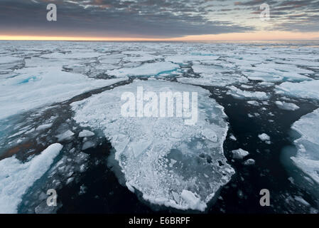Les icebergs, la banquise, l'humeur du soir, l'océan Arctique, l'archipel du Svalbard, l'île de Spitsbergen, Svalbard et Jan Mayen (Norvège) Banque D'Images