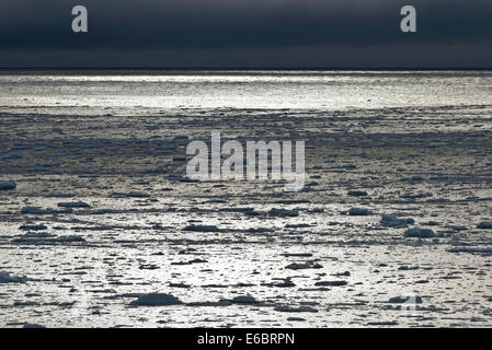 Les banquises, long de la banquise, l'océan Arctique, Spitzberg, Svalbard, îles Svalbard et Jan Mayen (Norvège) Banque D'Images