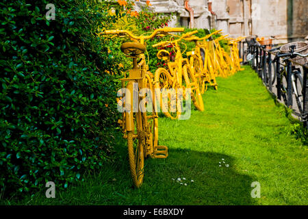 Exposition de vélos peints en jaune vif vélos vélo vélo York North Yorkshire Angleterre Royaume-Uni GB Grande-Bretagne Banque D'Images