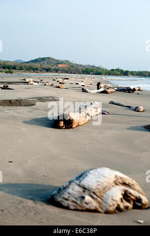 Beau paysage côtier avec une étendue de sable et de la mer sur des kilomètres. Près de Cartagena, Colombie, Amérique du Sud Banque D'Images