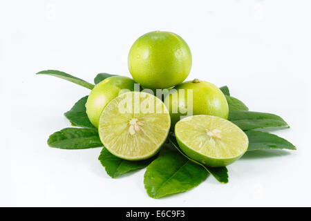 Citron lime white background Banque D'Images