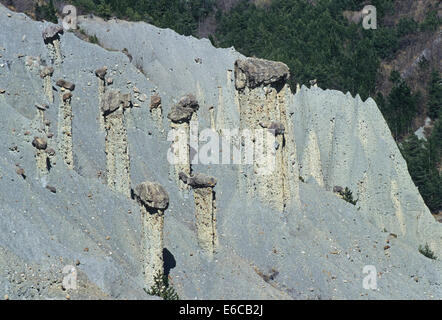 Demoiselles coiffees - Cheminées de fées Rock Formations, Alpes de Haute-Provence, France Banque D'Images