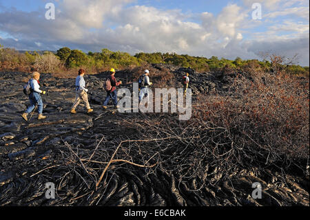 Groupe de randonneurs marchant sur la coulée de lave pahoehoe refroidie, Kilauea Volcano, Hawaii Islands, USA Banque D'Images